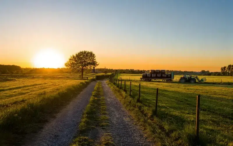 Mano de obra calificada en construcción
