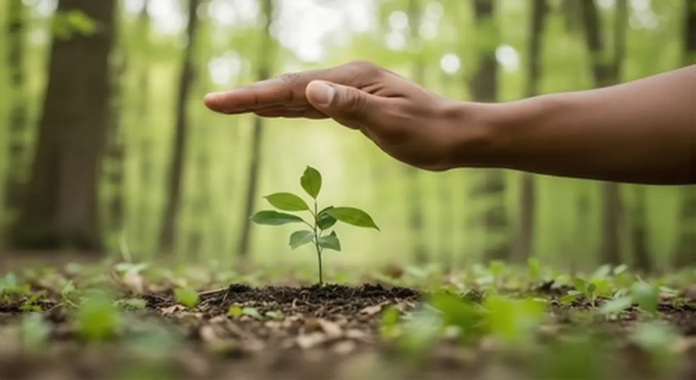 supervisión de proyectos arquitectónicos con un equipo colaborando en la obra