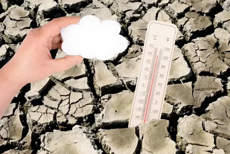 Varios tipos de cemento especializado en una tienda de construcción.